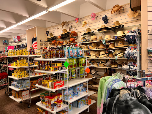 Gift Shop «Big Shark», reviews and photos, 2715 N Atlantic Ave, Daytona Beach, FL 32118, USA