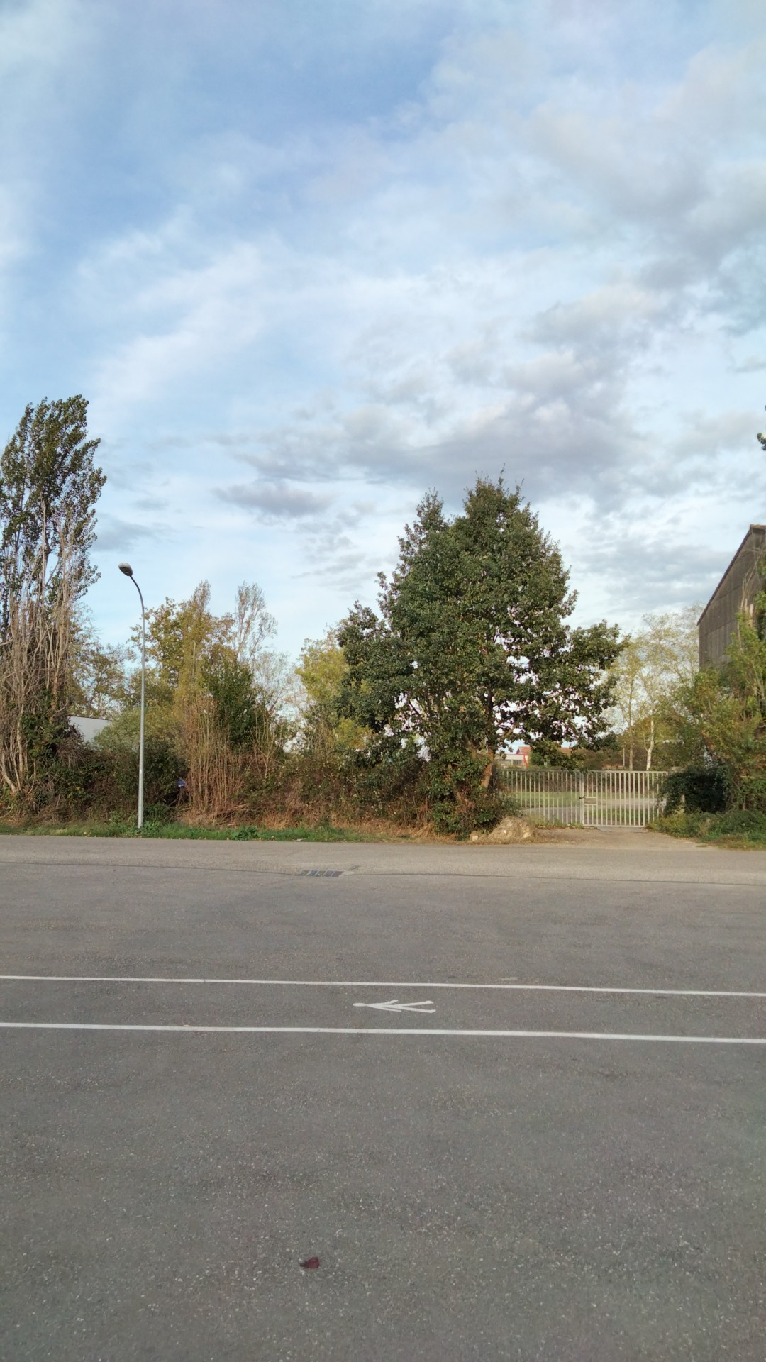 Photo n° 44 de l'avis de Francisco.a fait le 24/10/2022 à 15:38