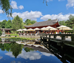 Englischer Garten photo