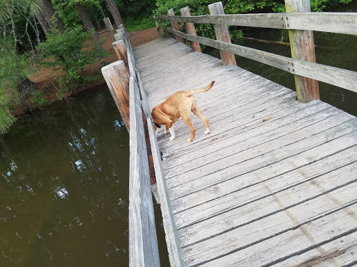 Nature Preserve «Reynolds Nature Preserve», reviews and photos, 5665 Reynolds Rd, Morrow, GA 30260, USA