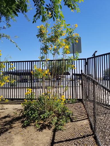 Park «Gateway Park», reviews and photos, 10100 N El Mirage Rd, El Mirage, AZ 85335, USA