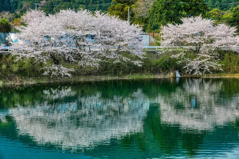 恵之久保池