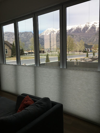 Blinds by Design