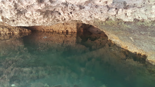 Supermarket «ALDI», reviews and photos, 2450 SW 19th Avenue Rd, Ocala, FL 34471, USA