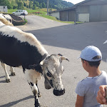 Photo n° 1 de l'avis de Laetitia.a fait le 01/08/2019 à 21:29 pour La Ferme du Saichy à La Bresse