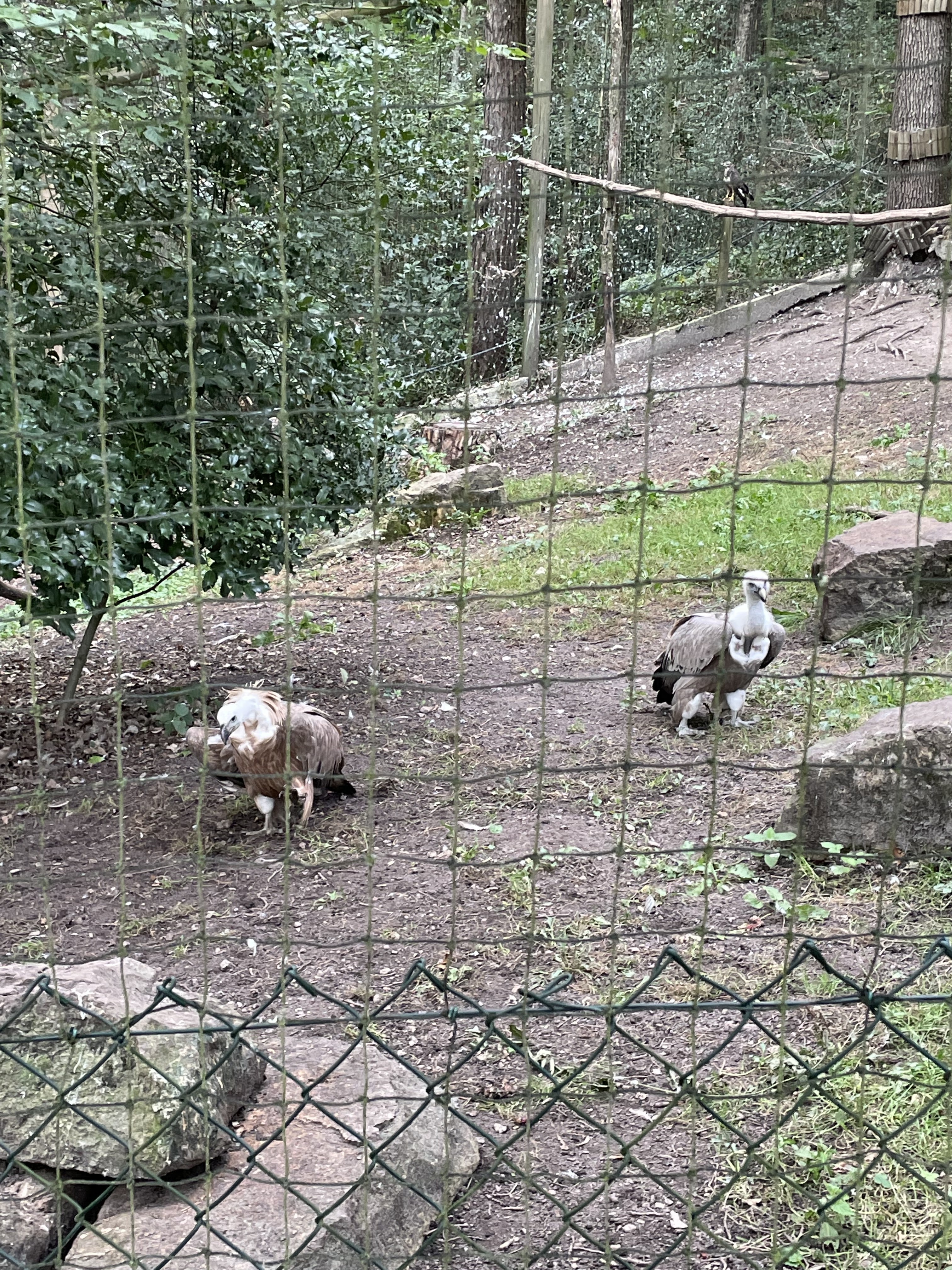 Photo n° 12 de l'avis de joel.u fait le 22/09/2021 à 14:33