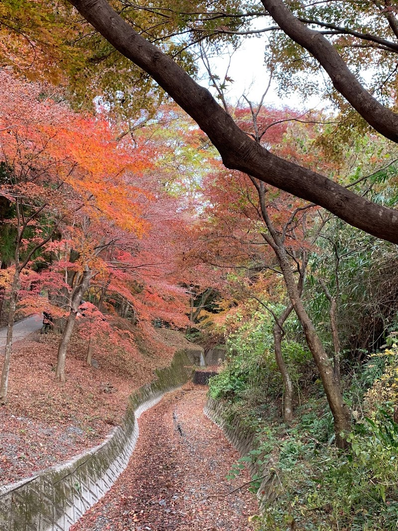 水沢もみじ谷 三重県四日市市水沢町 公園 グルコミ