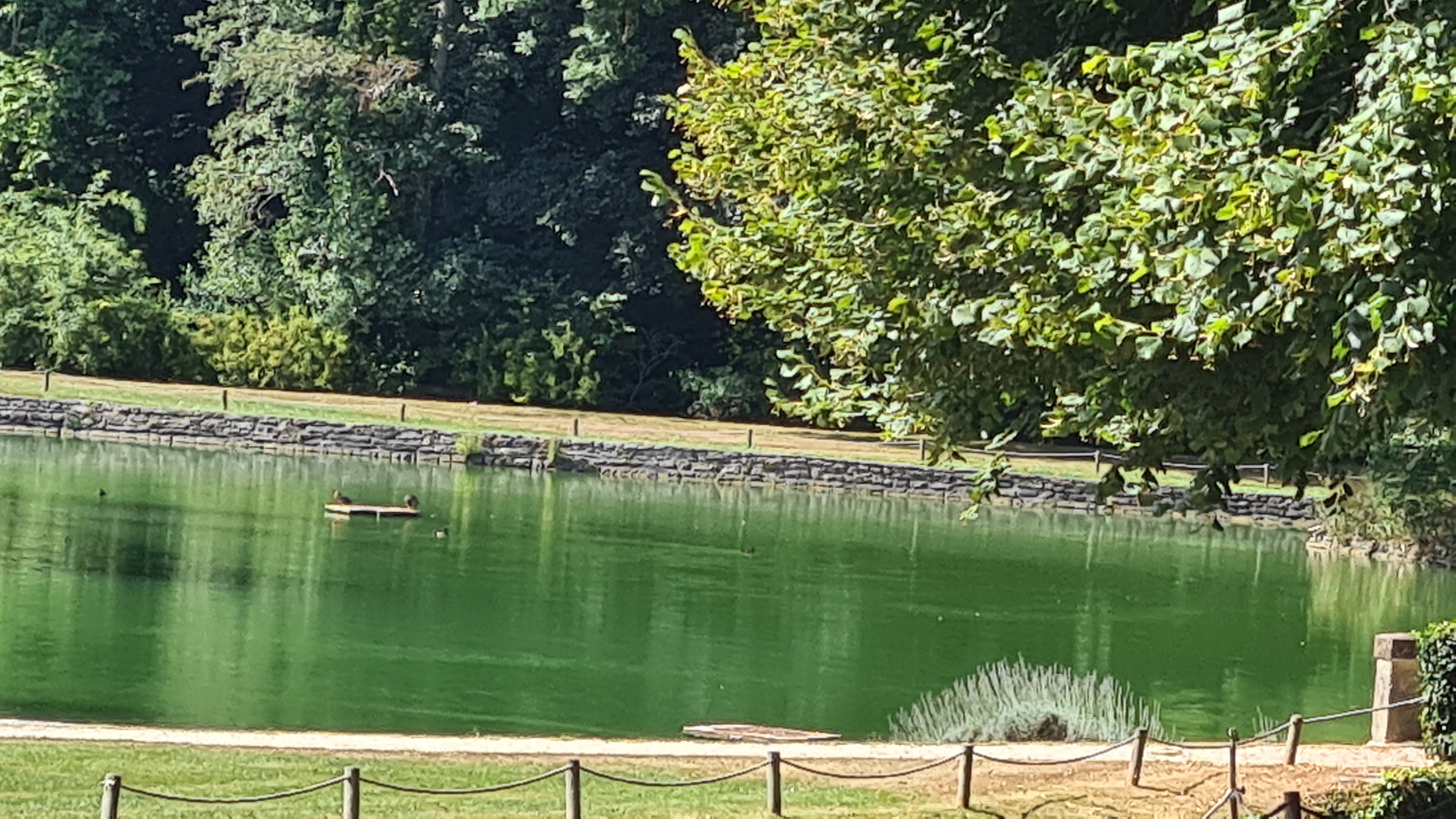 Photo n° 4 de l'avis de Chantal.a fait le 20/08/2022 à 16:36
