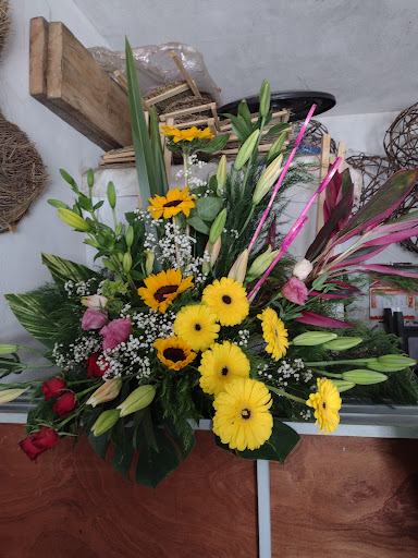Floreria D'sofia