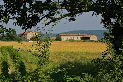 Domaine des Terres Vivantes chez Marie et Ludovic Gros à Blacé