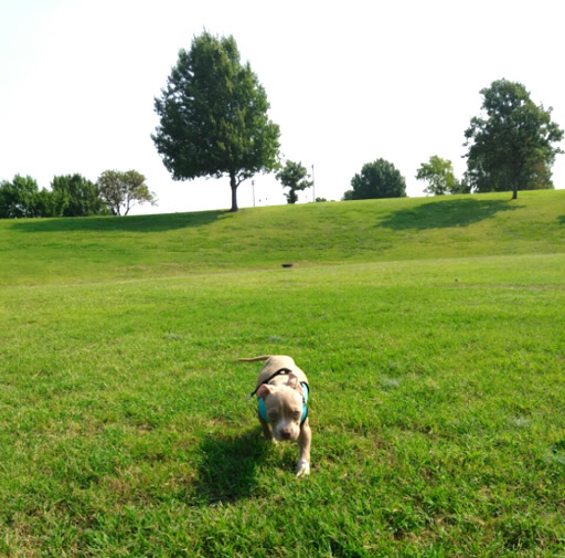 Community Center «McClure Community Center», reviews and photos, 7440 E 7th St, Tulsa, OK 74112, USA