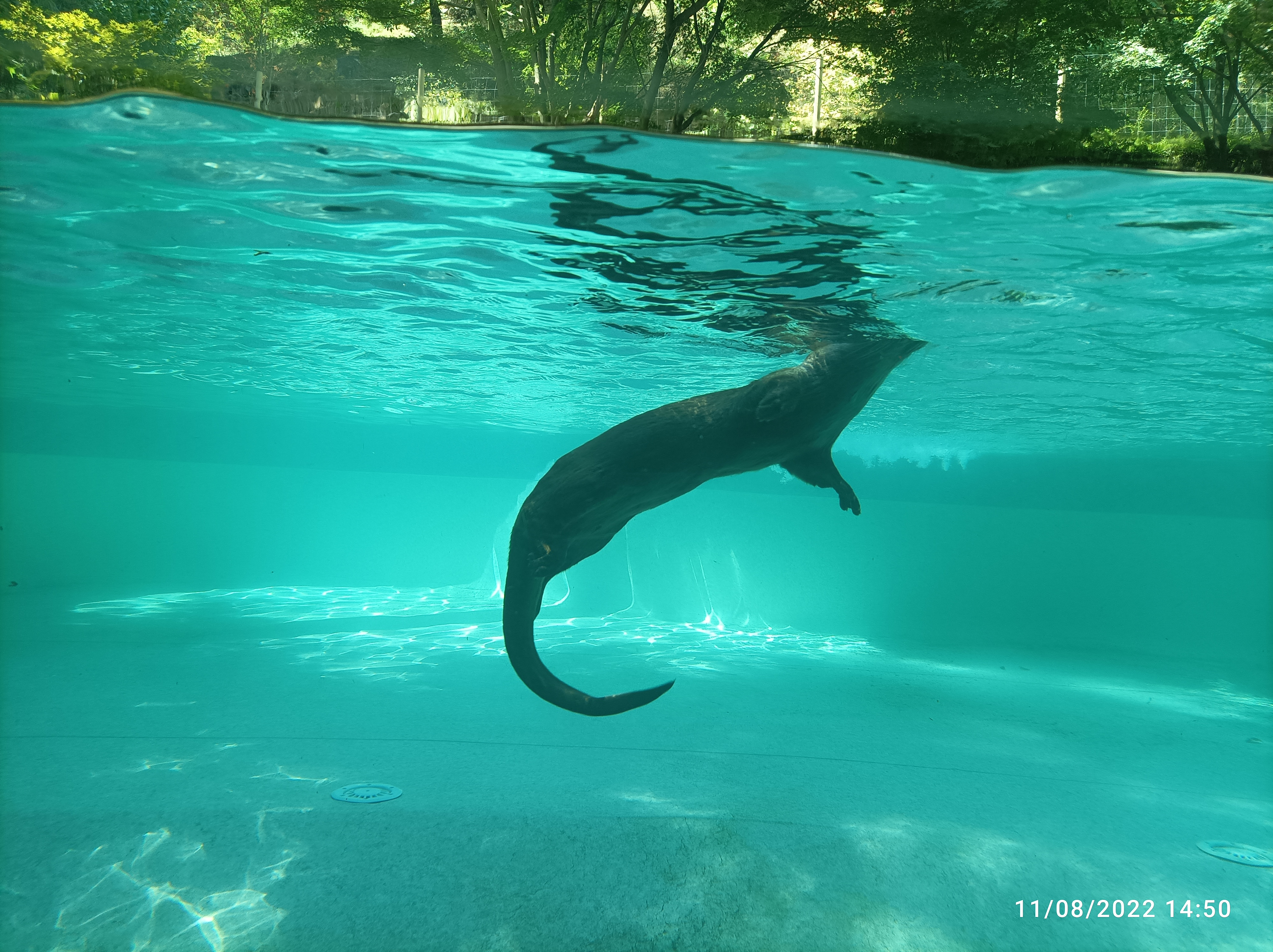 Photo n° 6 de l'avis de aurelie.� fait le 31/08/2019 à 22:43