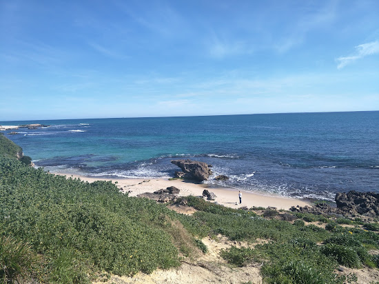 Trigg Dog Beach