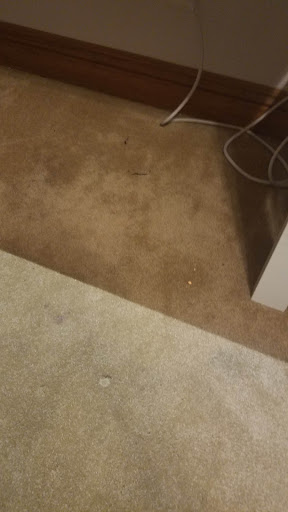 House Cleaning Service «MTO Cleaning Services», reviews and photos, 815 W Liberty St #2, Medina, OH 44256, USA