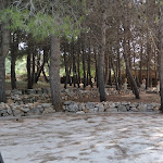 Photo n°3 de l'avis de Porpo.o fait le 27/07/2021 à 10:09 sur le  Masseria Cucuruzza à Ugento