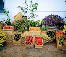 Kiosko fuente Colinas del Sol photo