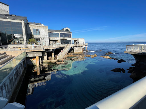 Aquarium «Monterey Bay Aquarium», reviews and photos, 886 Cannery Row, Monterey, CA 93940, USA