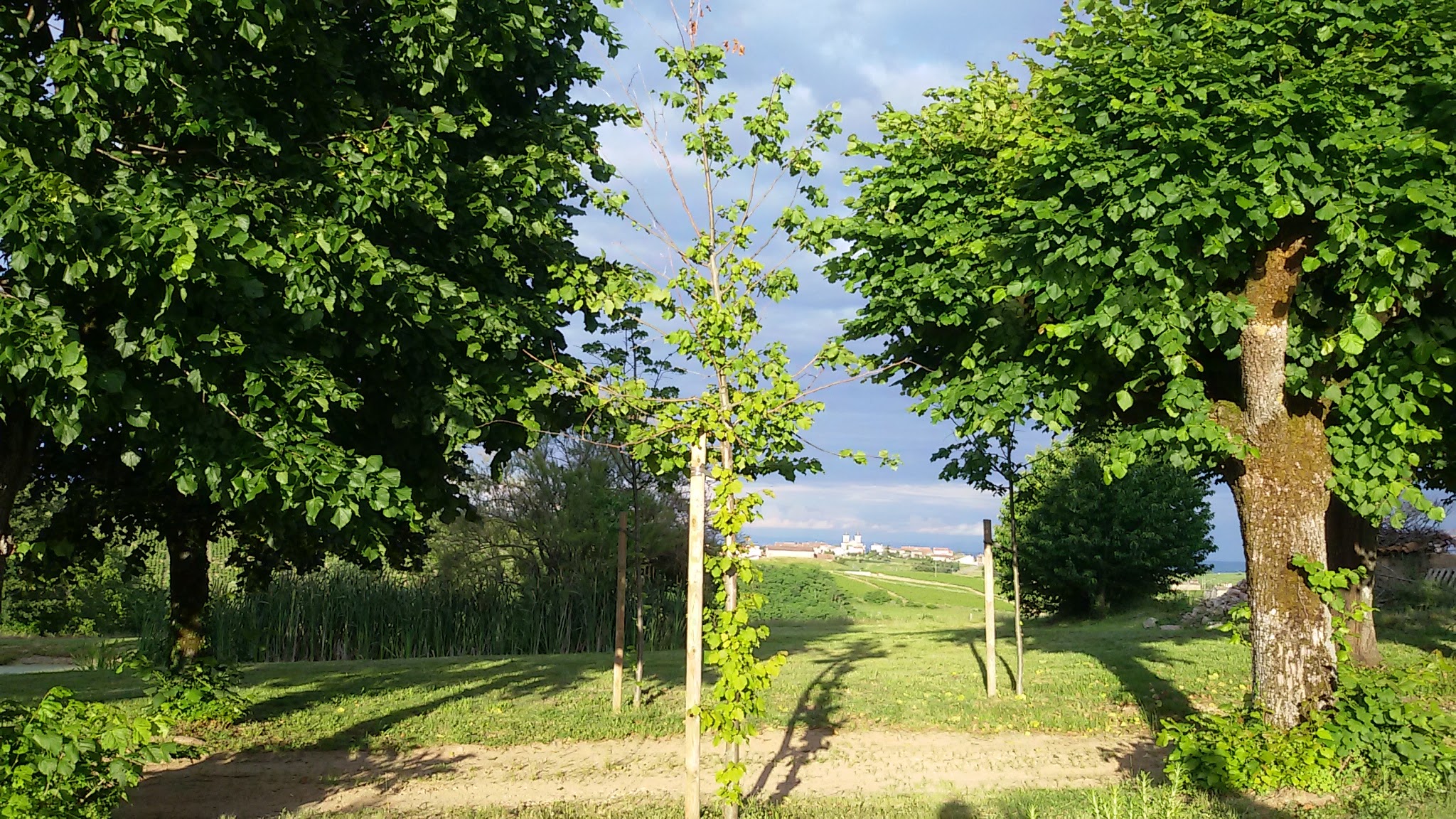 Photo n° 1 de l'avis de MARC.A fait le 16/06/2017 à 05:07