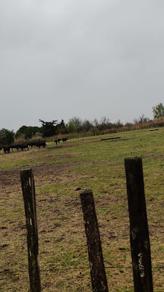 Vidéos hôtels Mas de Layalle 13460 Saintes-Maries-de-la-Mer