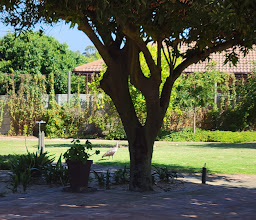 Vredekloof Self Catering Accommodation photo