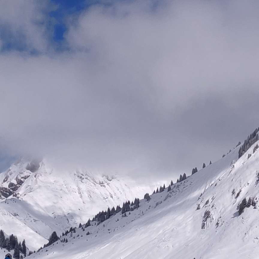 Photo n° 4 de l'avis de Johan.e fait le 19/02/2020 à 16:09