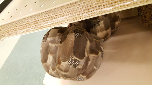 Fabric Store «Jo-Ann Fabrics and Crafts», reviews and photos, 2405 SW 27th Ave, Ocala, FL 34471, USA