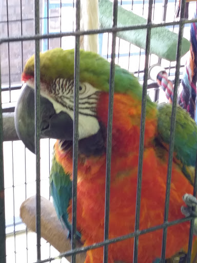 Pet Store «Last Place on Earth Pet Store», reviews and photos, 1461 E Franklin Blvd, Gastonia, NC 28054, USA