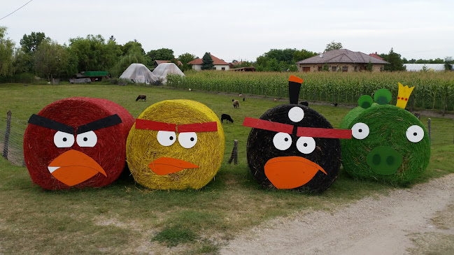 Jakabszállási Jézus Szíve templom - Jakabszállás