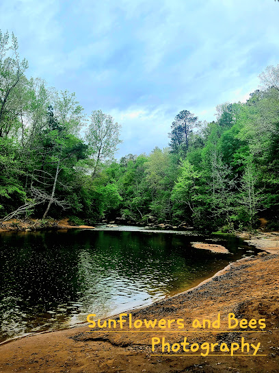 Fence Company Holt AL