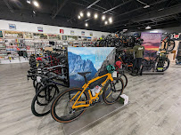 Trek Bicycle Gainesville - Photo 9 - Car repair in Gainesville, FL, Gainesville