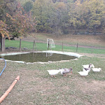 Photo n°4 de l'avis de marco.l fait le 02/11/2020 à 01:22 sur le  Cascina Parisio à Susa