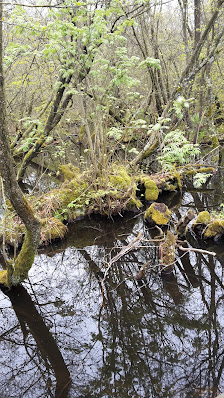 Ditt & Mitt Kök / Catering AB Tulesholmsgatan 29, 274 37 Skurup, Sverige