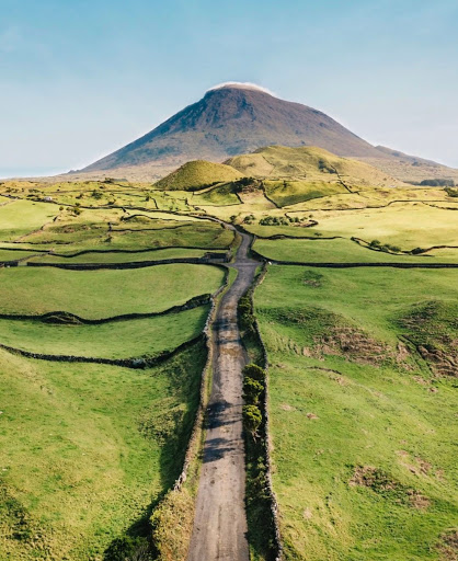 Travel Agency «Cruise & Travel Masters», reviews and photos, 4376 S 700 E #200, Murray, UT 84107, USA