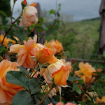 Photo n°3 de l'avis de Matteo.n fait le 02/05/2023 à 14:23 sur le  Casa Fluo' Relais à Bologna