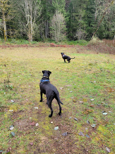 Nature Preserve «Illahee Preserve», reviews and photos, 3200 NE Riddell Rd, Bremerton, WA 98310, USA