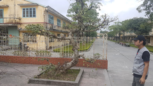 Công Ty Cp Cao Su Sao Vàng - Cn