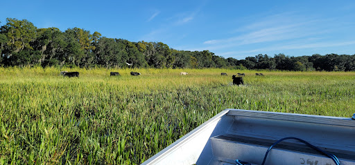 Sightseeing Tour Agency «Wild Willys Airboat Tours», reviews and photos, 4715 Kissimmee Park Rd, St Cloud, FL 34772, USA
