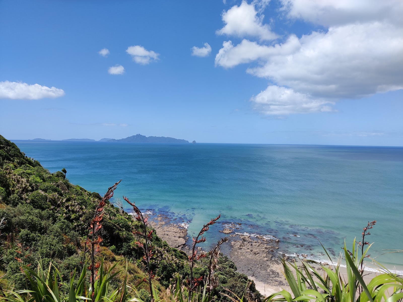 Photo de Mangawhai Beach avec droit et long