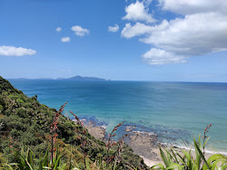 Mangawhai Beach'in fotoğrafı imkanlar alanı
