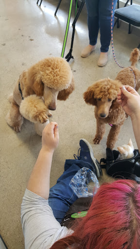 Pet Supply Store «Petco», reviews and photos, 7395 Lee Hwy E, Falls Church, VA 22042, USA