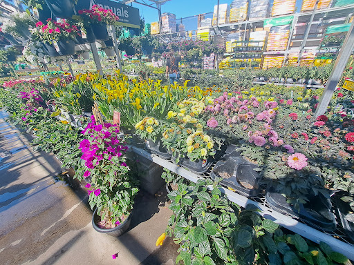 Home Improvement Store «The Home Depot», reviews and photos, 2580 Notre Dame Blvd, Chico, CA 95928, USA