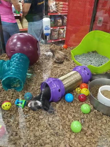 Pet Supply Store «Petco Animal Supplies», reviews and photos, 1500 N Town E Blvd, Mesquite, TX 75150, USA