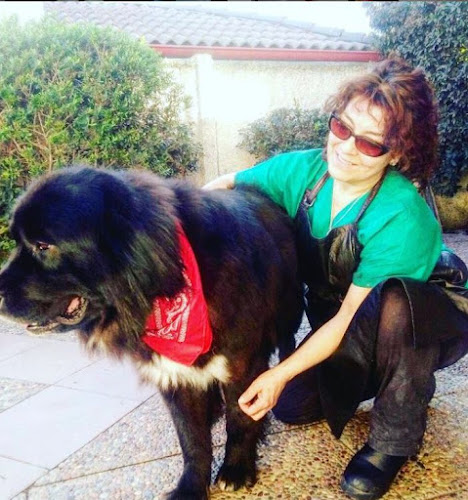 Teléfono de Peluquería canina y Petshop Canito