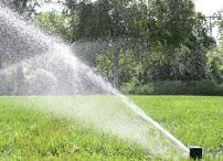 Sherlock Homes Pest Control & Irrigation - Photo 5 - Car repair in Cape Coral, FL, Cape Coral