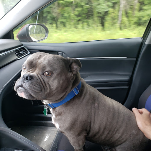 Morgan City Veterinary Hospital image