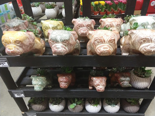 Home Improvement Store «The Home Depot», reviews and photos, 1740 Old Epps Bridge Rd, Athens, GA 30606, USA