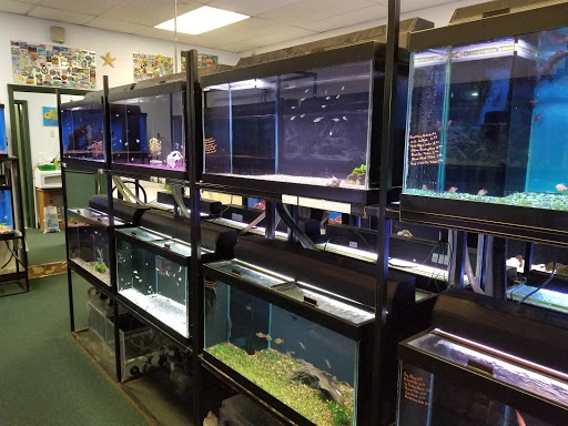 Tropical Fish Store «Seascape Aquatics», reviews and photos, 5038 Academy Blvd N, Colorado Springs, CO 80918, USA