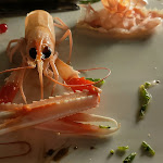 Photo n°11 de l'avis de ormesullaterra@gmail.com.i fait le 05/07/2021 à 09:05 sur le  Oxtrica à Torre Faro