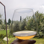 Photo n°7 de l'avis de Adelio. fait le 03/06/2023 à 05:29 sur le  Seradel à Padenghe sul Garda