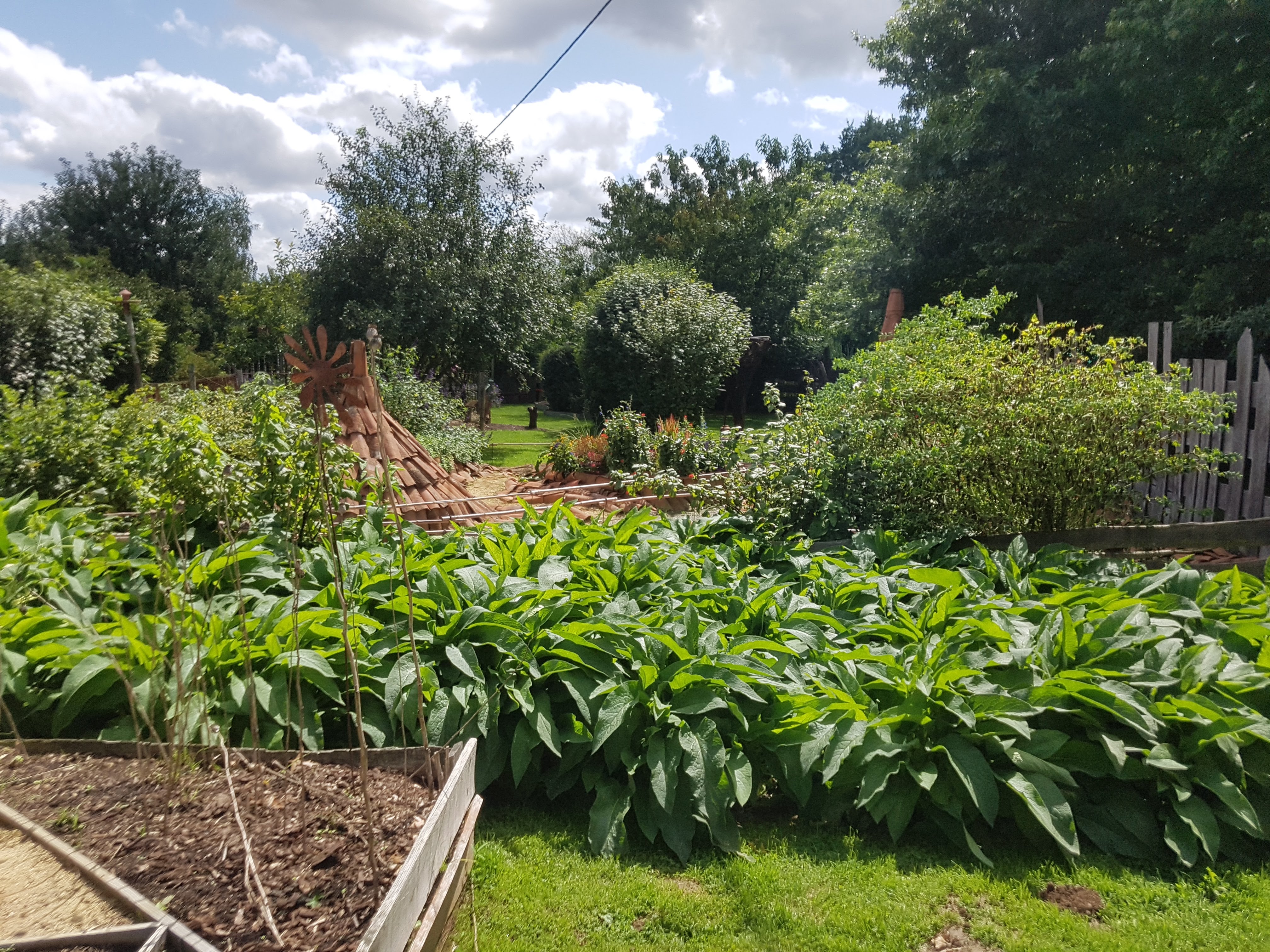 Photo n° 11 de l'avis de Miguel.l fait le 18/08/2019 à 15:20